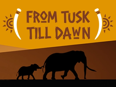 From Tusk till Dawn image