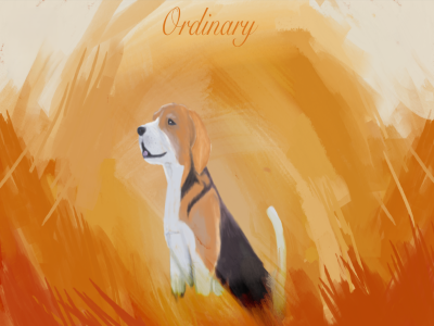 Ordinary image